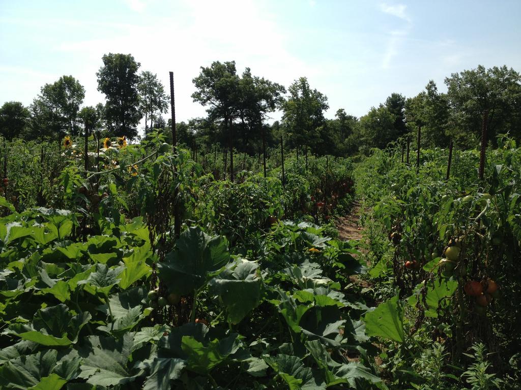 Lukans Farm Resort Hawley Bagian luar foto