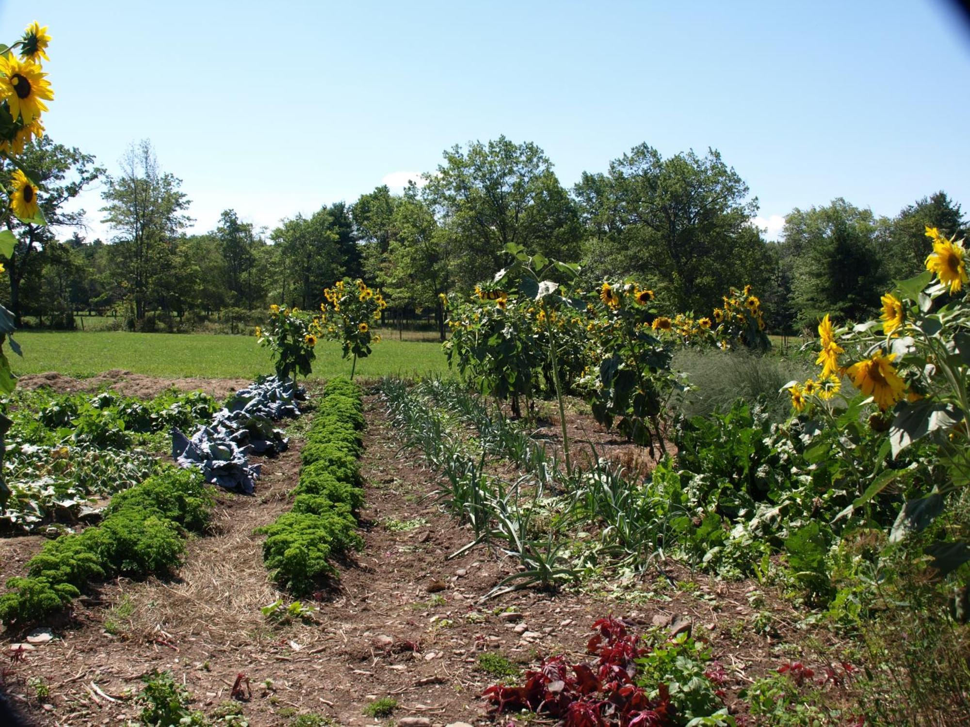 Lukans Farm Resort Hawley Bagian luar foto